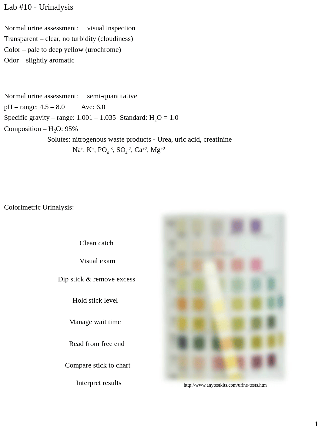 Lab+#10+Urinalysis-Buffers_dk2d0kyfc0c_page1