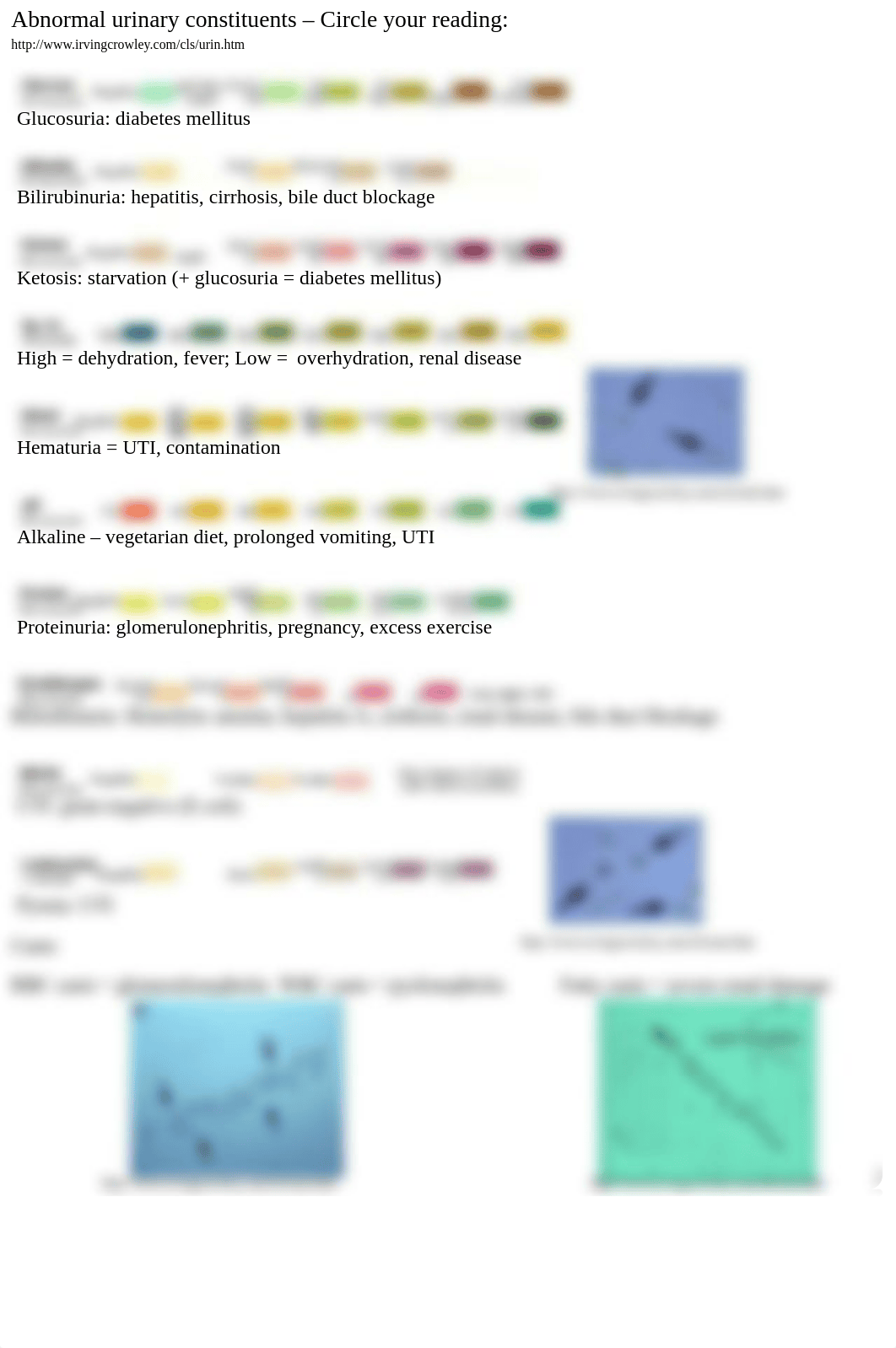 Lab+#10+Urinalysis-Buffers_dk2d0kyfc0c_page2