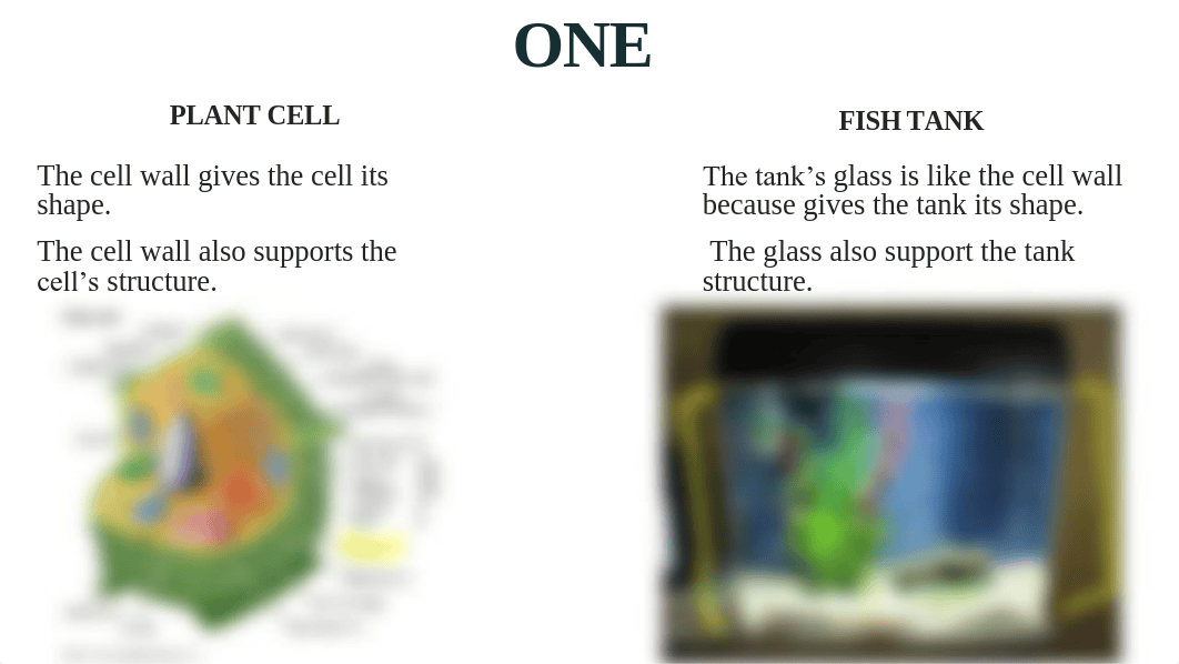 A Plant Cell is like a Fish Tank.pdf_dk2dmqy36pu_page2