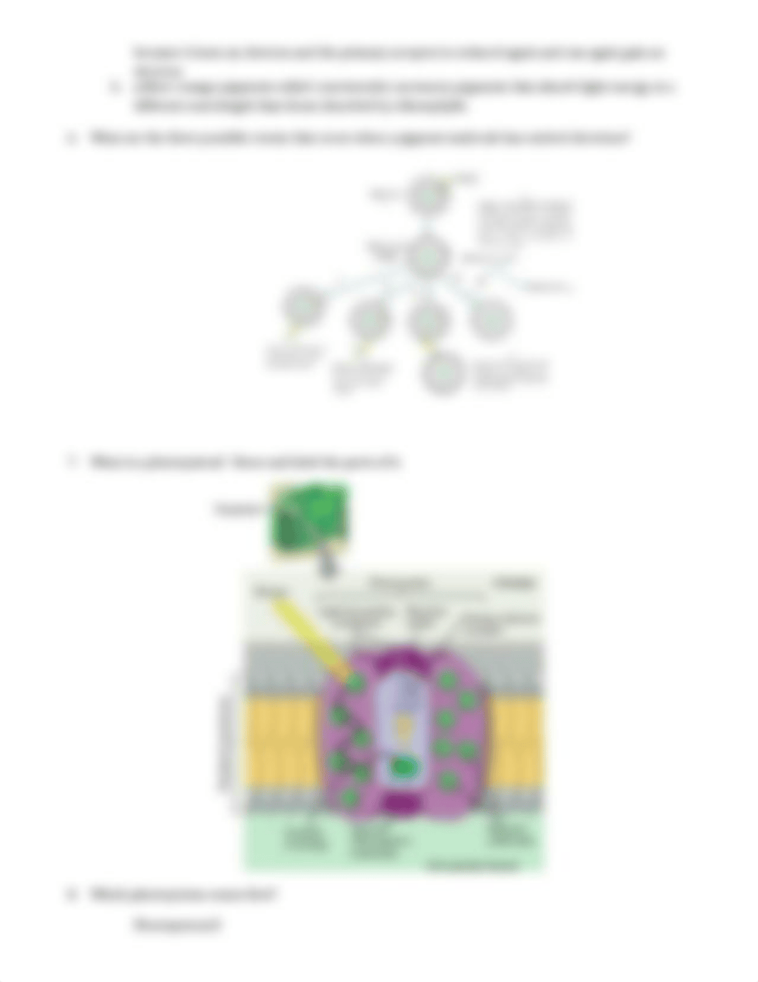 Chapter 8 Reading Worksheet_dk2dodjudua_page2