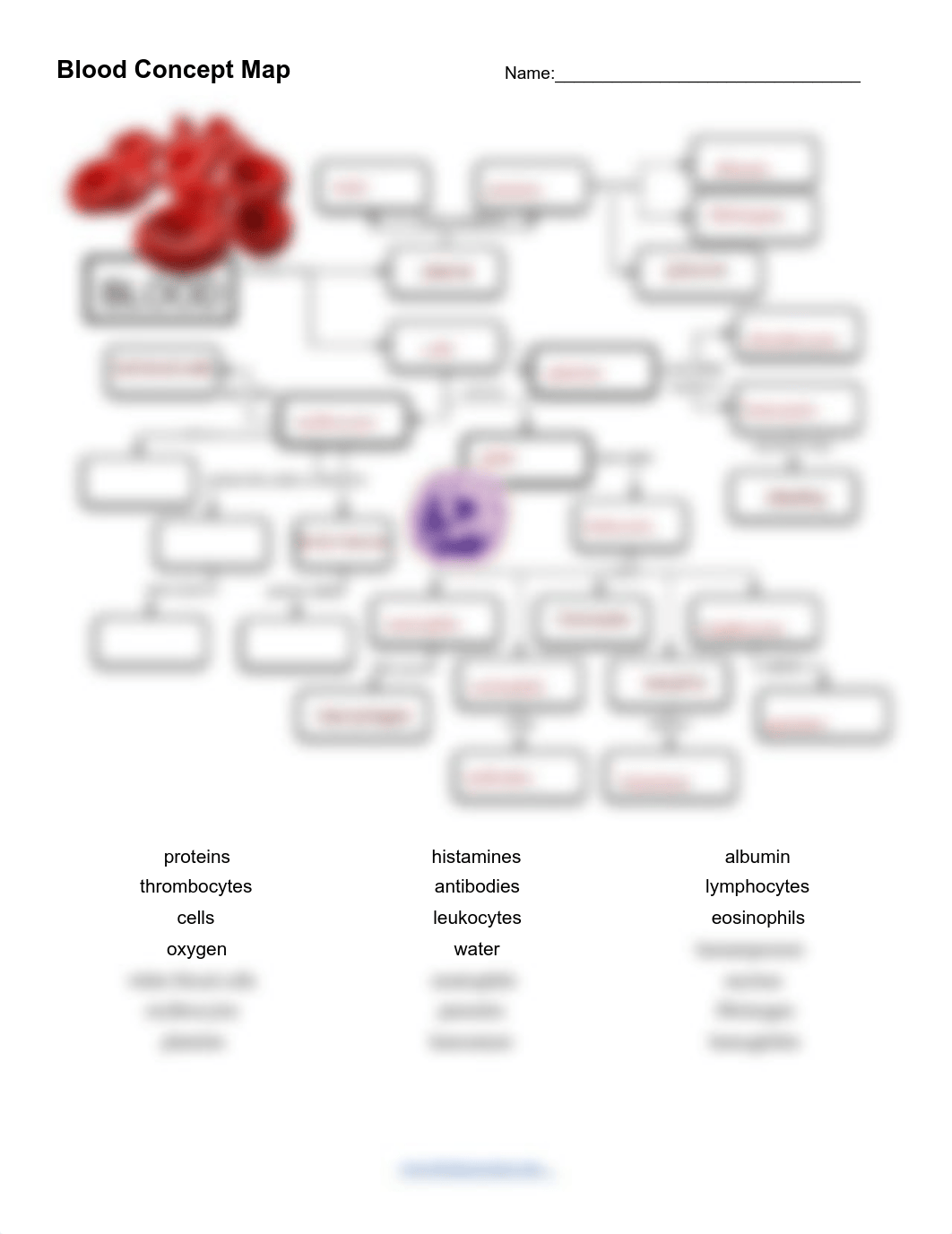 Devin Budna - Blood Concept Map.pdf_dk2g220ja61_page1