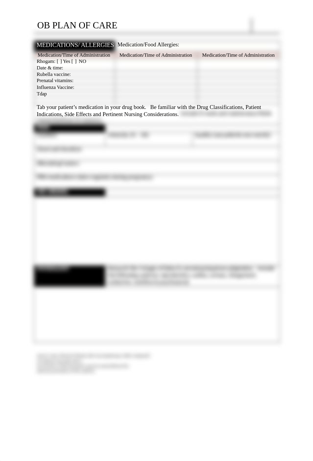 OB Plan of Care Template.doc_dk2g5go3v54_page2