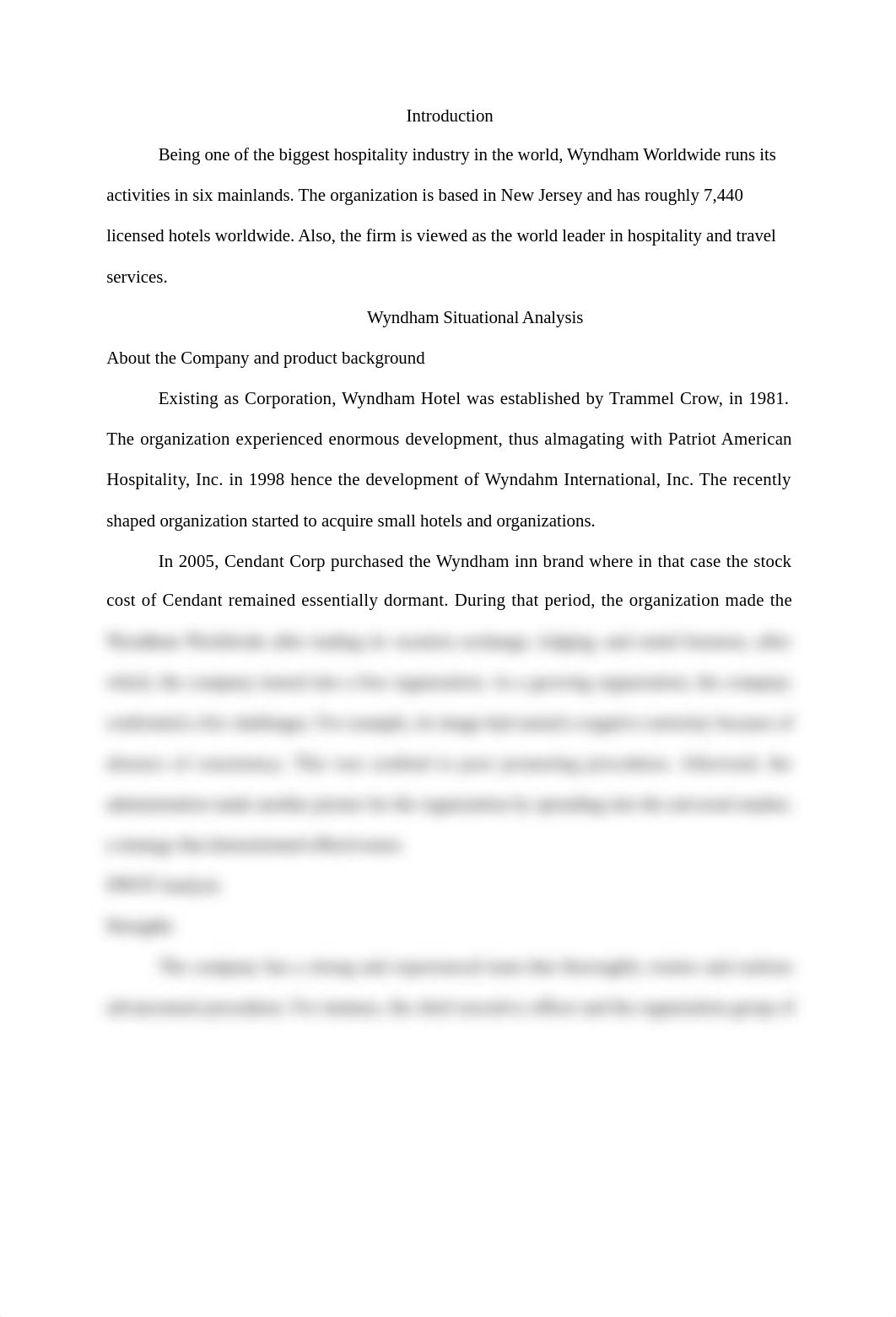 situation analysis  for Wyndham Worldwide_dk2low2zsd7_page2