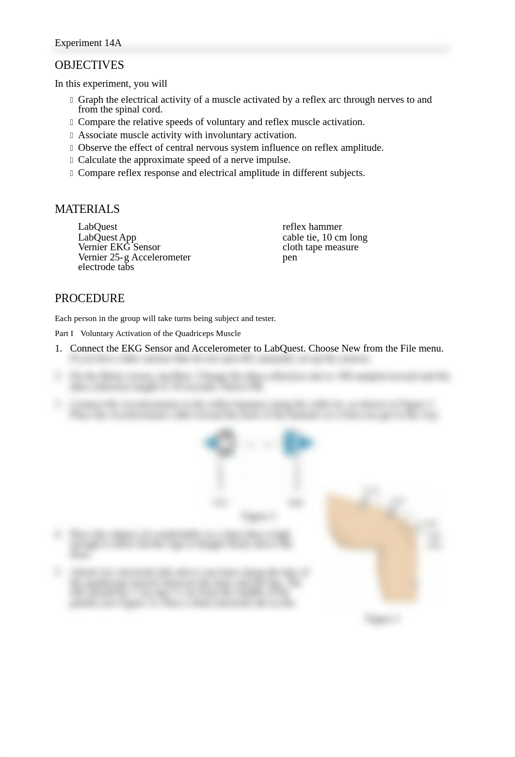 Lab 2 - Neuromuscular Reflexes.doc_dk342y706tb_page2