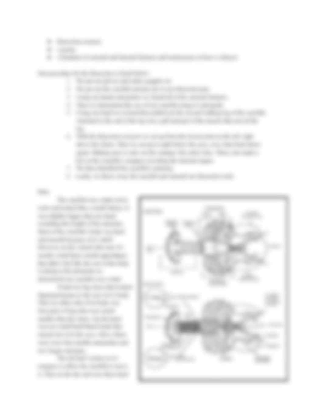 Crayfish Lab Report.pdf_dk3bmgyjrv6_page2