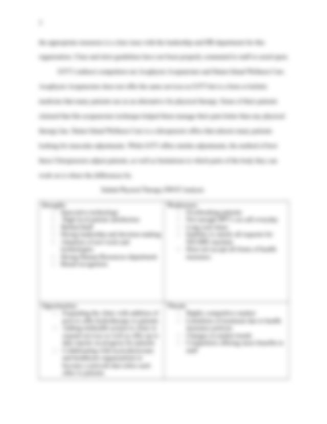 Strategic Business Plan Part II.docx_dk3htjcprkw_page3