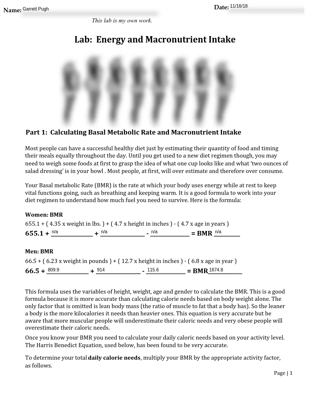 Calculating+Basal+Metabolic+Rate+Lab-1+(3).pdf_dk3jce3kzxh_page1