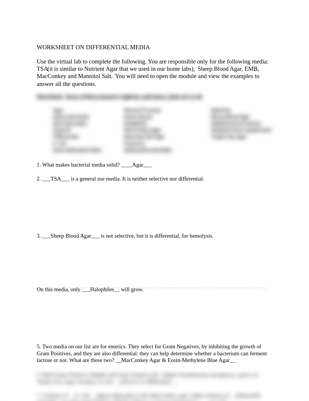 WORKSHEET ON DIFFERENTIAL MEDIA SB.docx_dk3n1hh85cf_page1