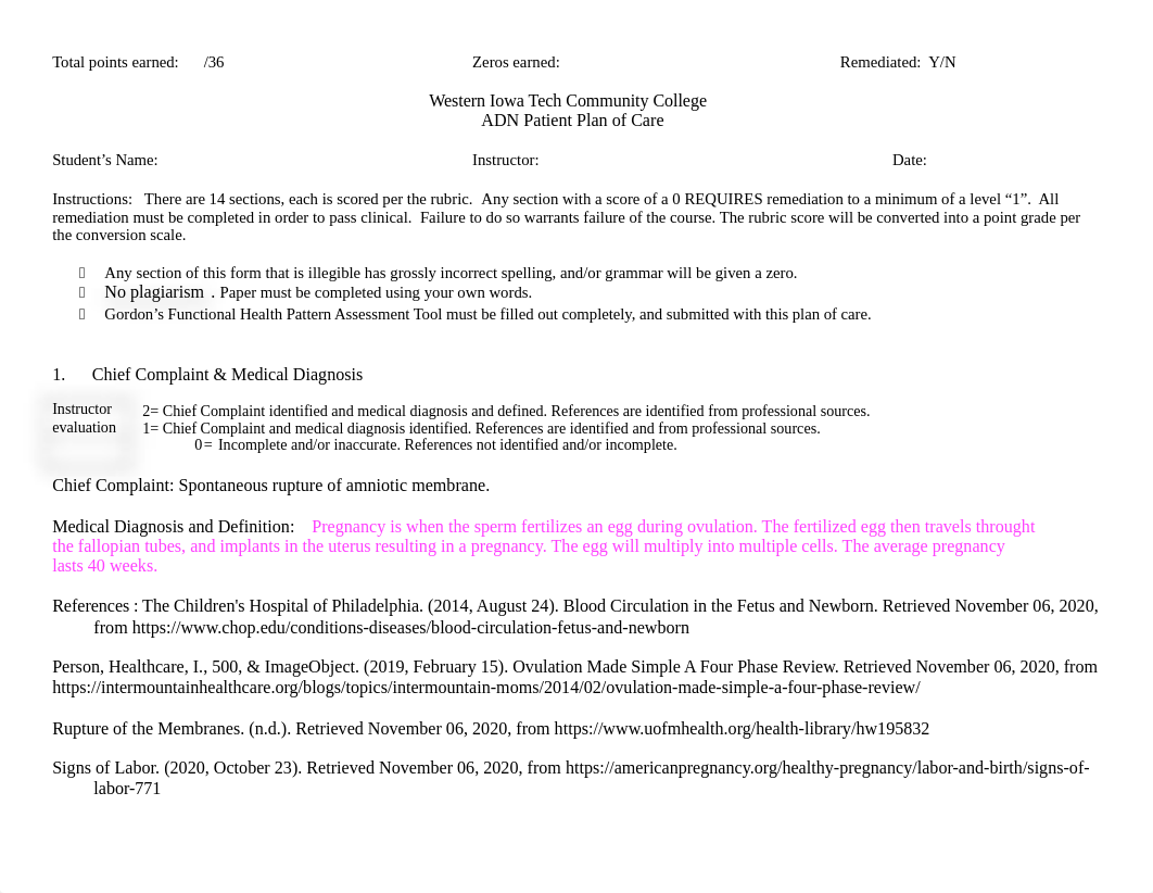 OB Patient Plan of Care FA20.docx_dk3nya752v3_page1