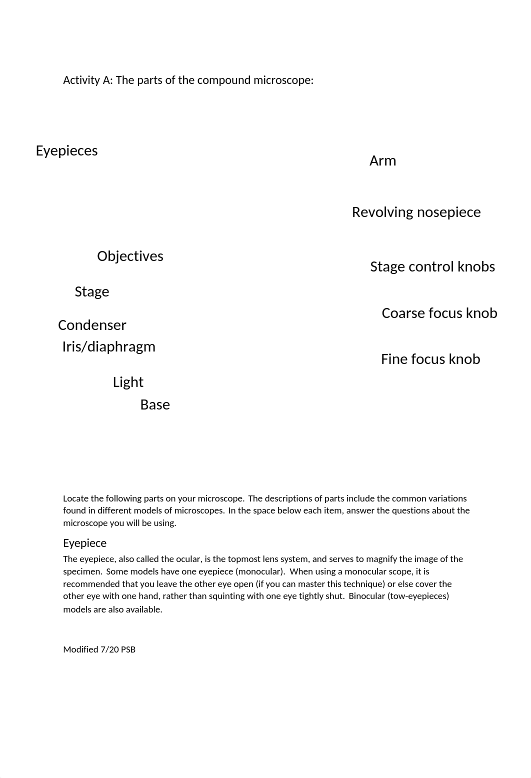 Laboratory Exercise 4 Microscopes.docx_dk3s7zyofos_page2