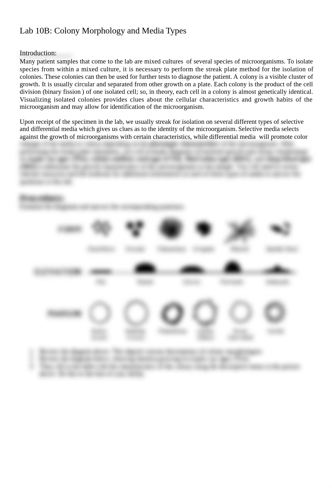 Lab 10B Colony Morphology and Media Types.docx_dk3utl02hgd_page1