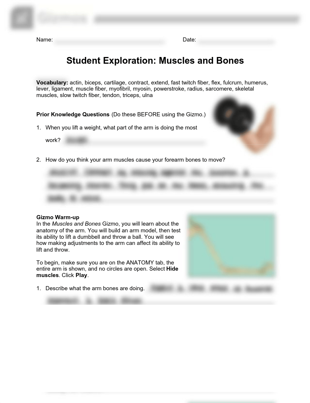 student-exploration-muscles-and-bones-gizmo.pdf_dk40jv14al9_page2