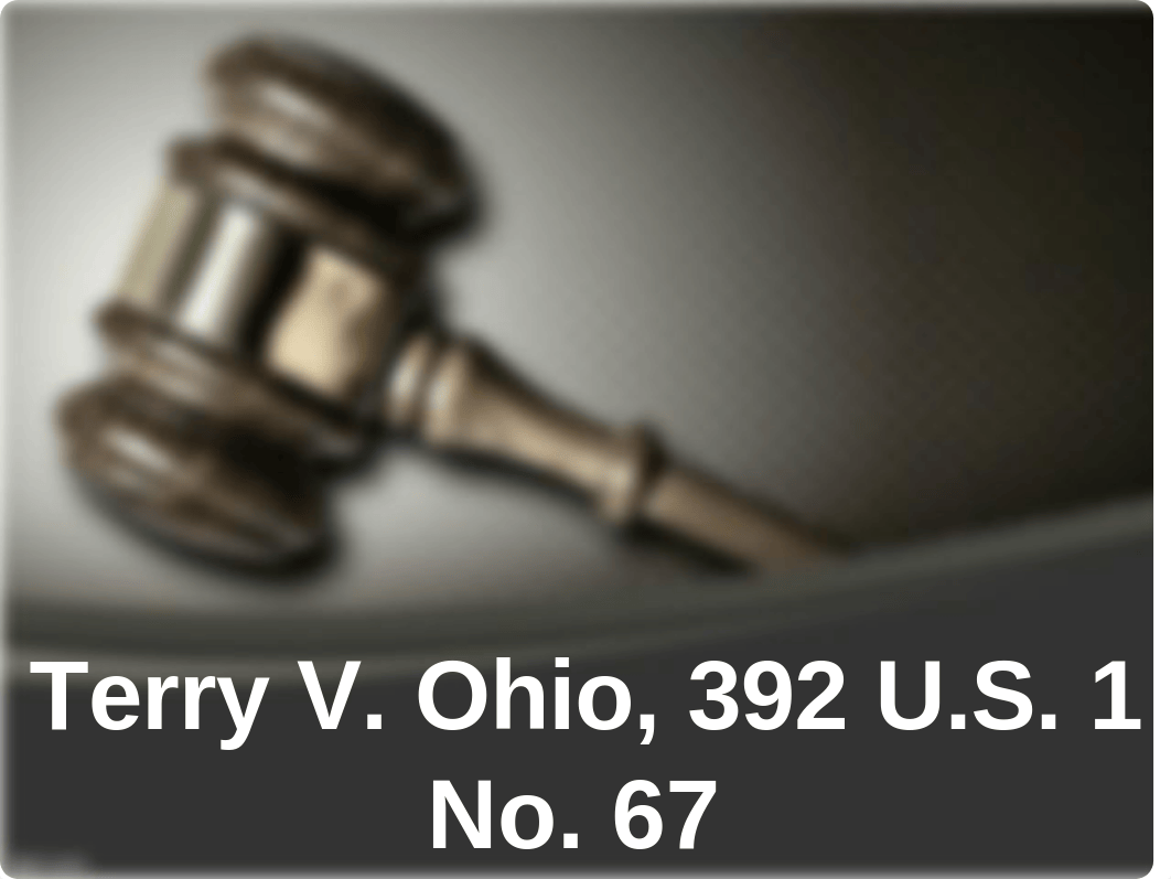 Terry v. Ohio.ppt_dk4aiahlgmt_page1