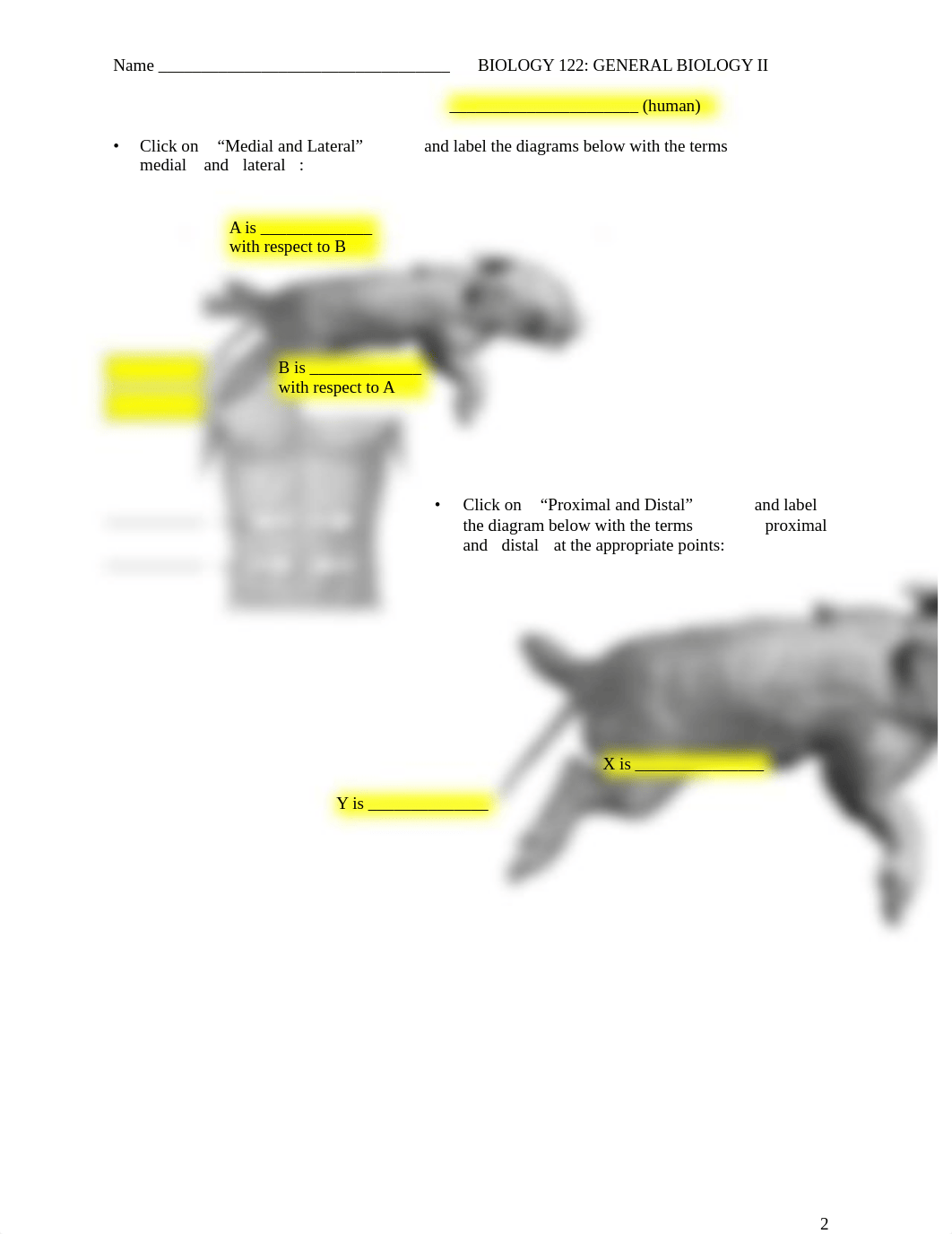 Virtual Pig Dissection Lab Wkst Spring 2021.docx_dk4bmt3r949_page2