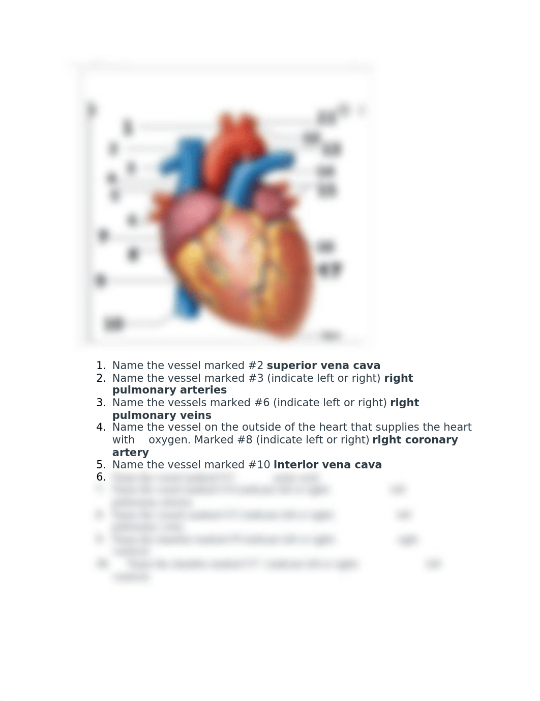 outside heart labled .docx_dk4fcsbh5cm_page1