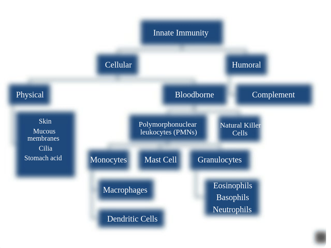 Immunity Flow chart.pptx_dk4h524wz4y_page2