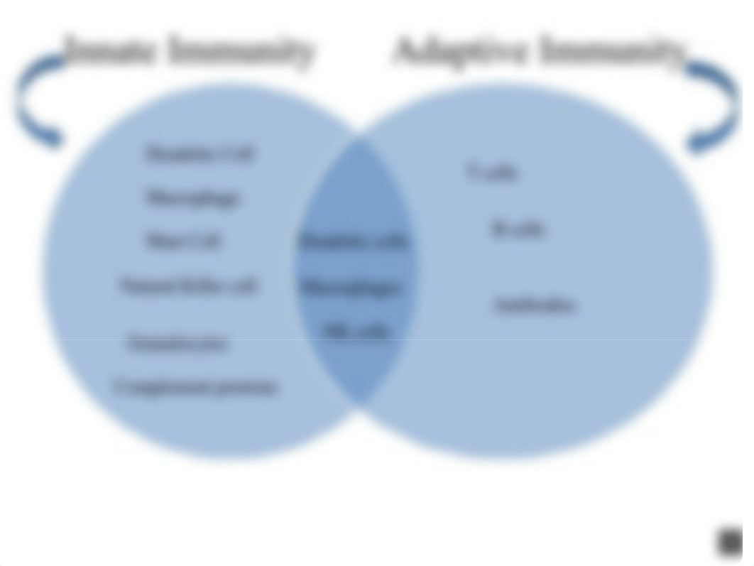 Immunity Flow chart.pptx_dk4h524wz4y_page5