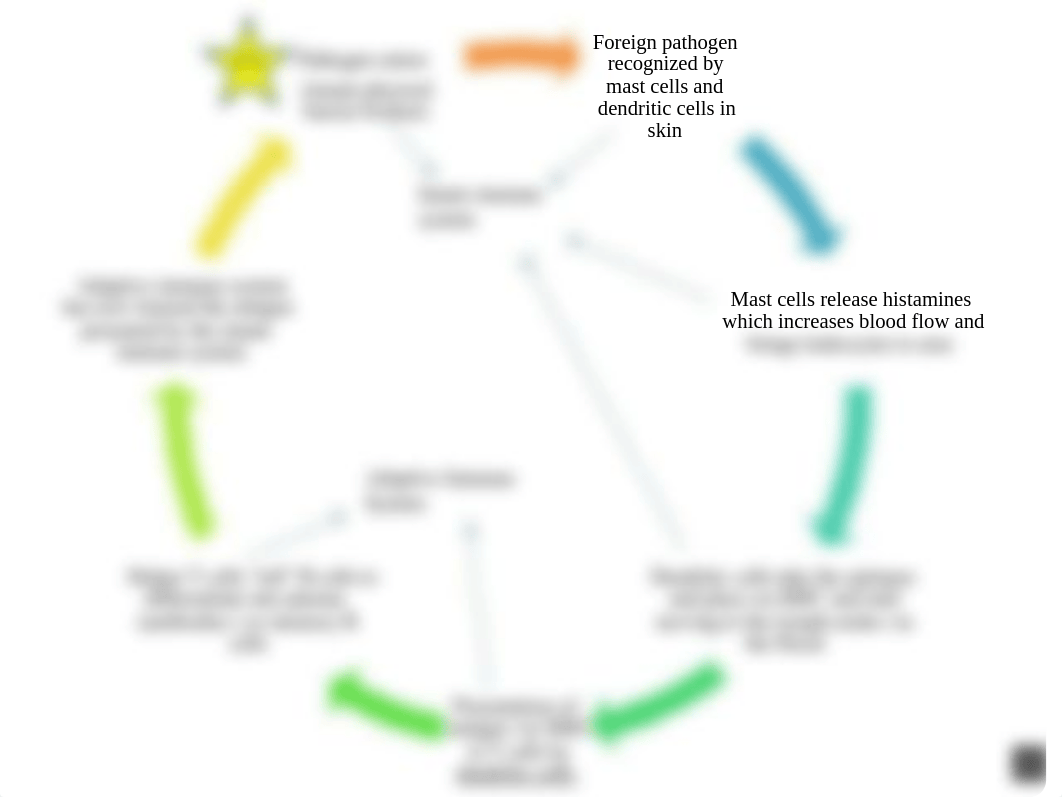 Immunity Flow chart.pptx_dk4h524wz4y_page4