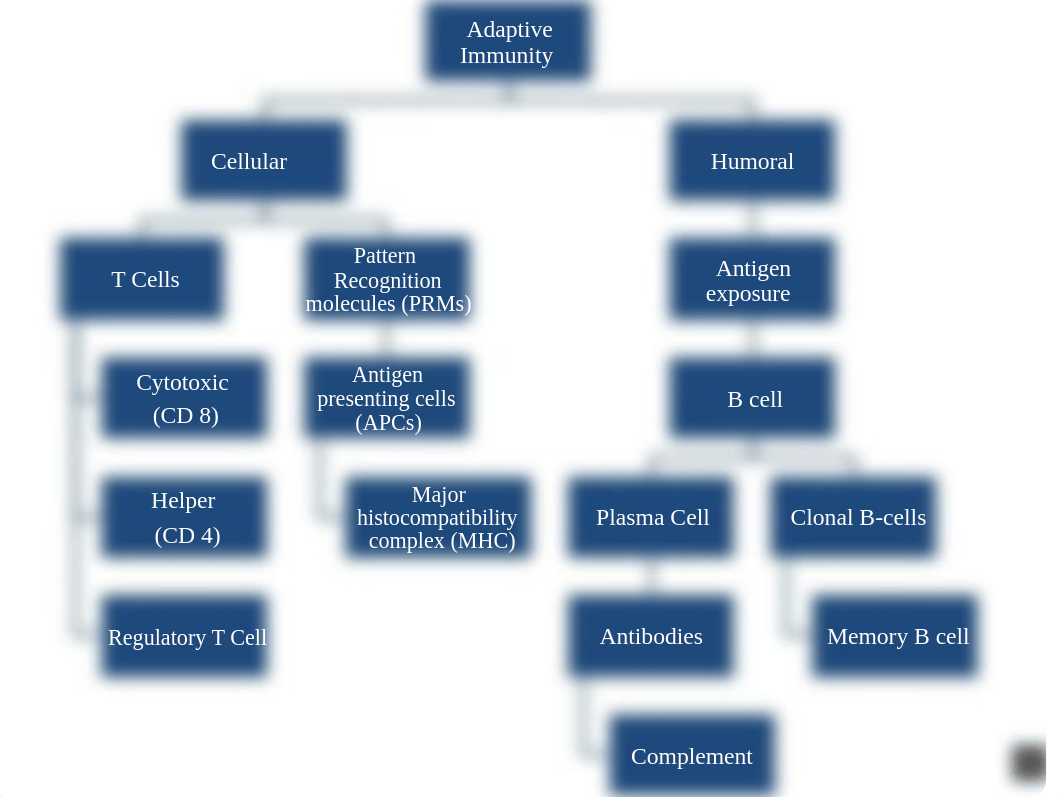 Immunity Flow chart.pptx_dk4h524wz4y_page3