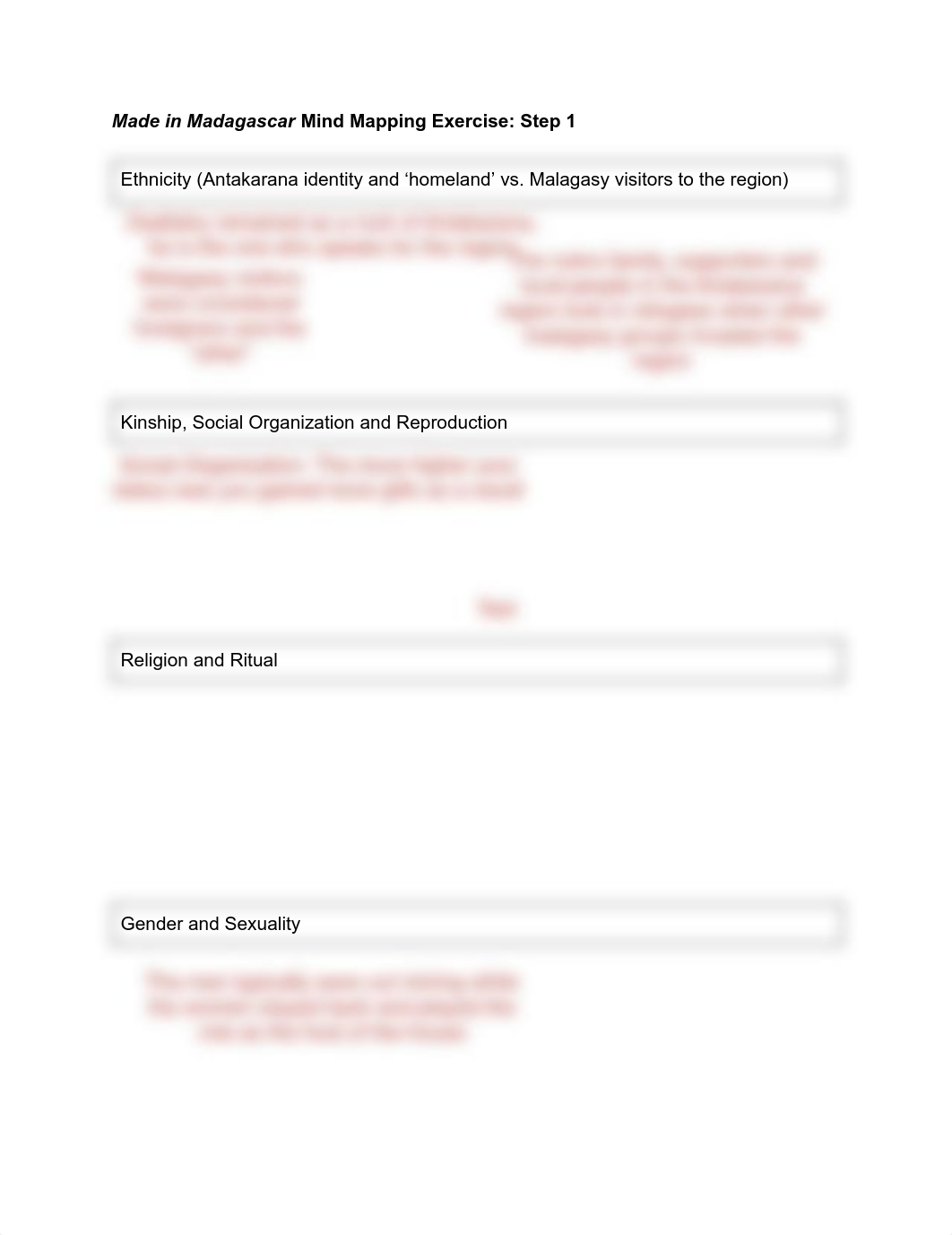 mind mapping activity 'made in madagascar'-2.pdf_dk4jglvmgt0_page1