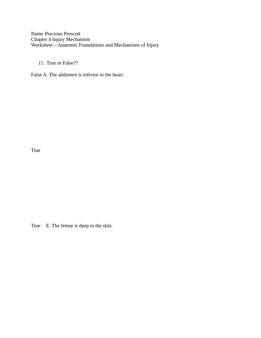 Precious Injury Mechanism_dk4l60cftdk_page1