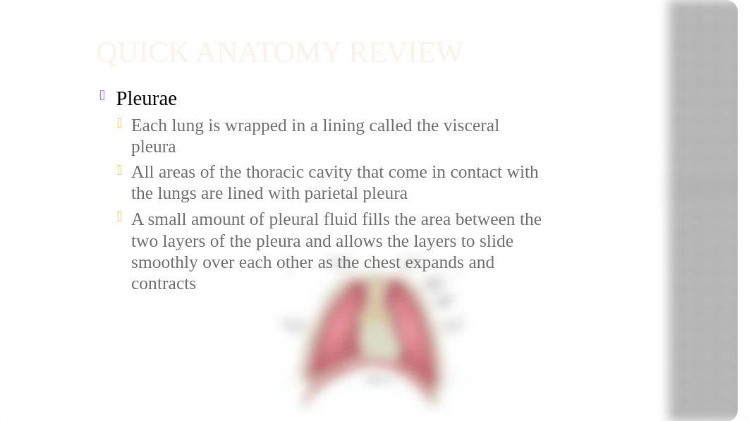 Thorax and Lungs Assessment.pptx_dk4ndaa7gql_page3