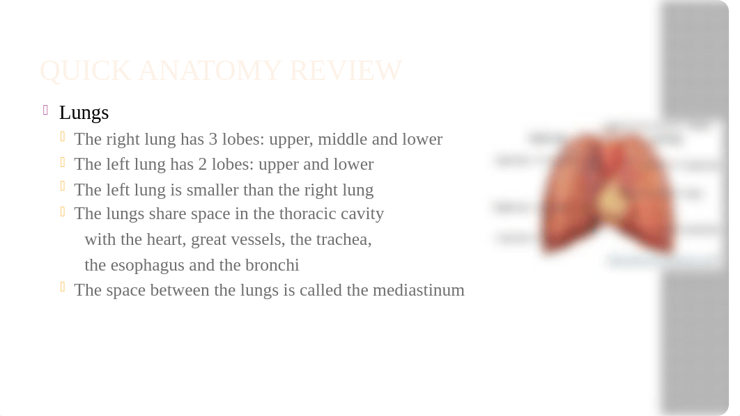 Thorax and Lungs Assessment.pptx_dk4ndaa7gql_page2