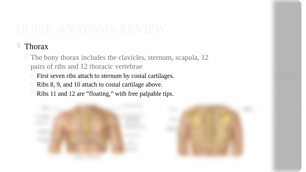 Thorax and Lungs Assessment.pptx_dk4ndaa7gql_page4