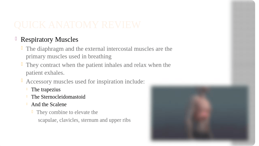 Thorax and Lungs Assessment.pptx_dk4ndaa7gql_page5