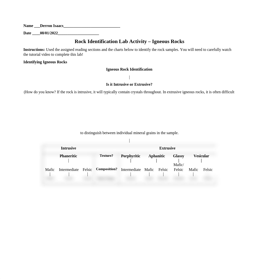 Lab 2 Igneous rocks.docx_dk4pur30n6b_page1