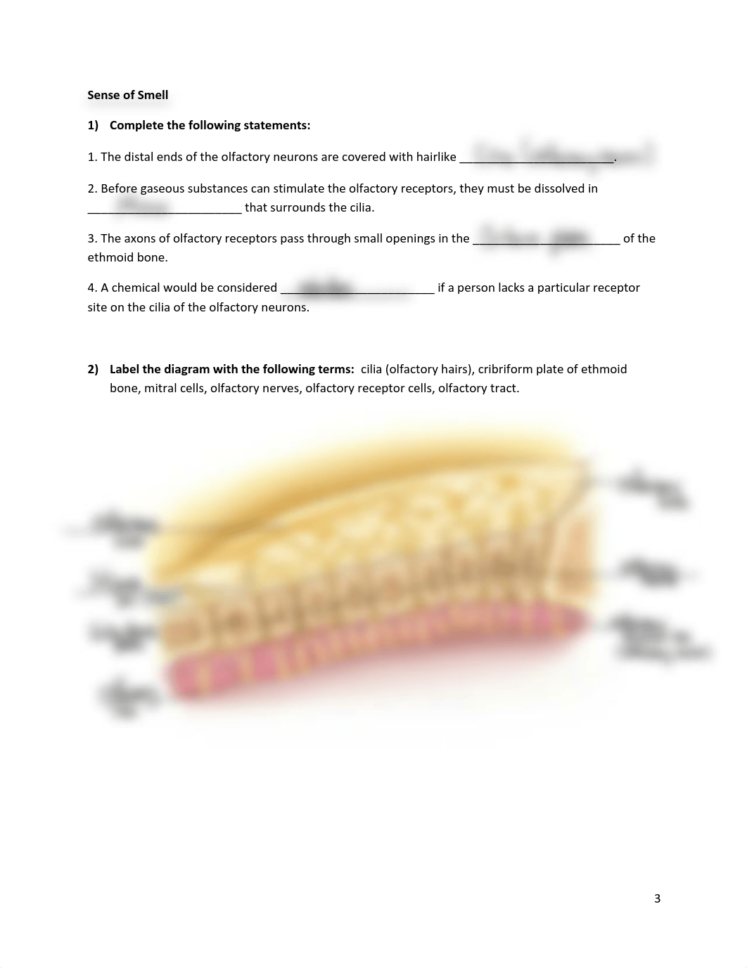 senses lab priny.pdf_dk4vkv2fn8c_page3