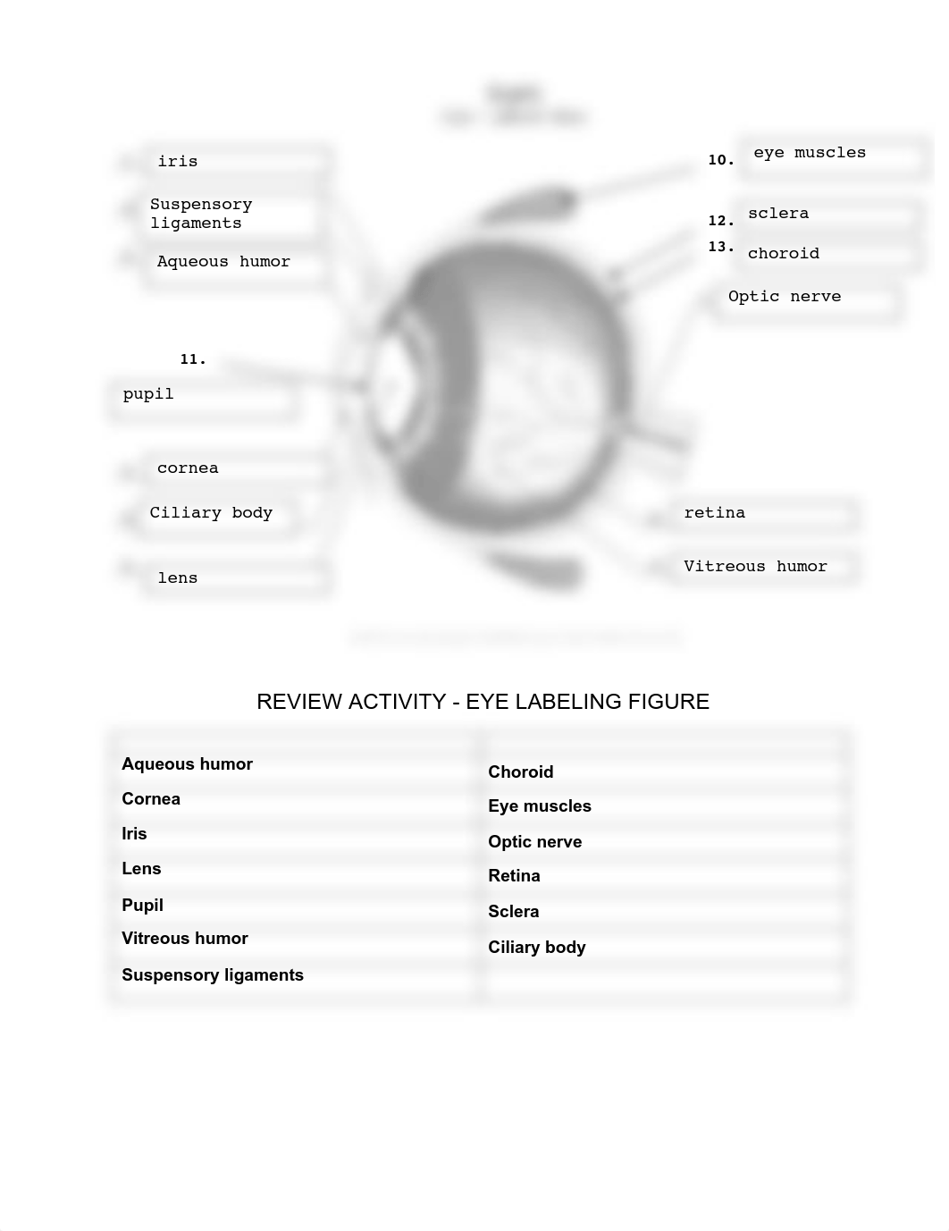 Lab14-worksheets.pdf_dk51etao267_page1