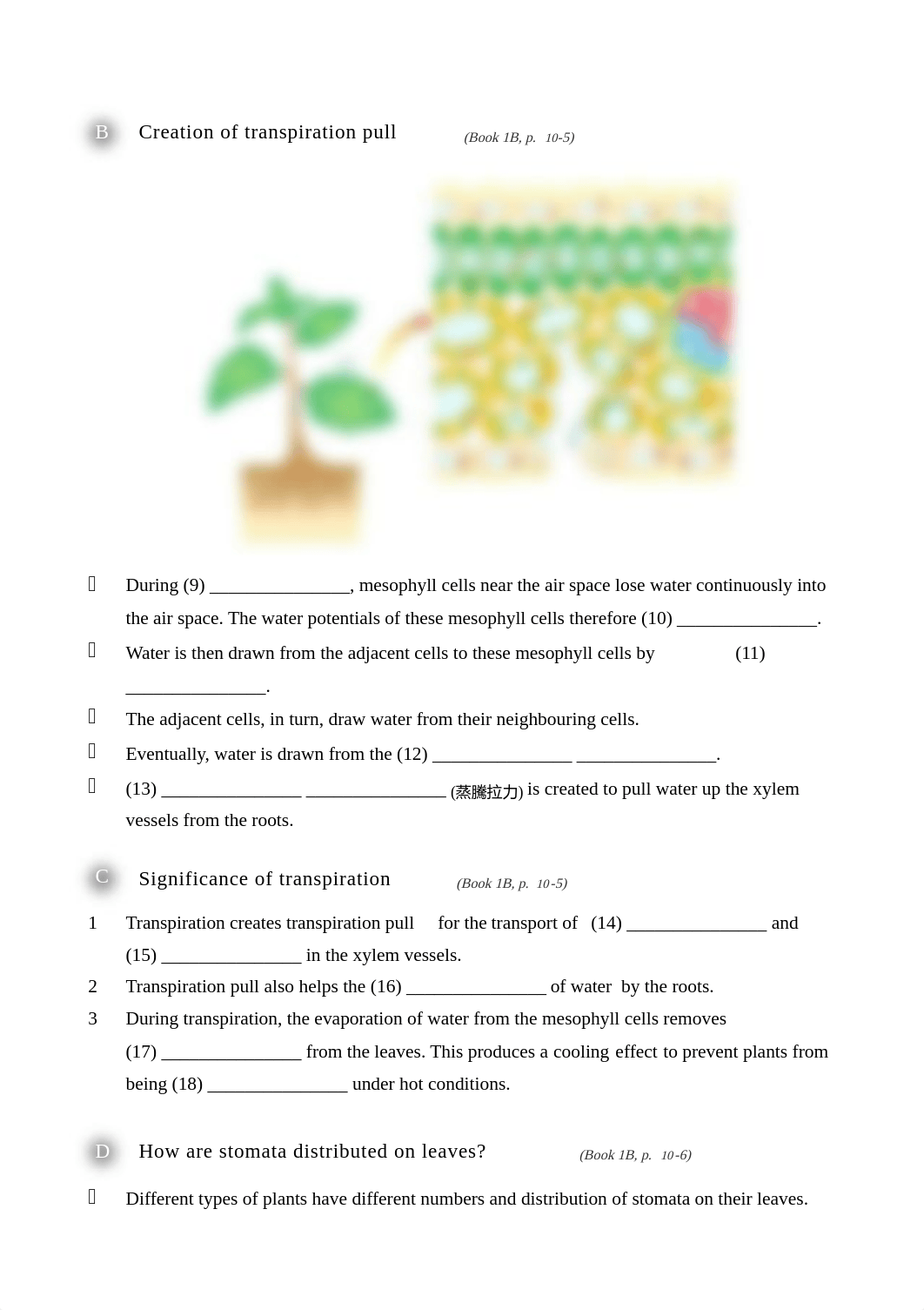 10 Transpiration, transport and support in plants WS.pdf_dk5ckpgxmrp_page2