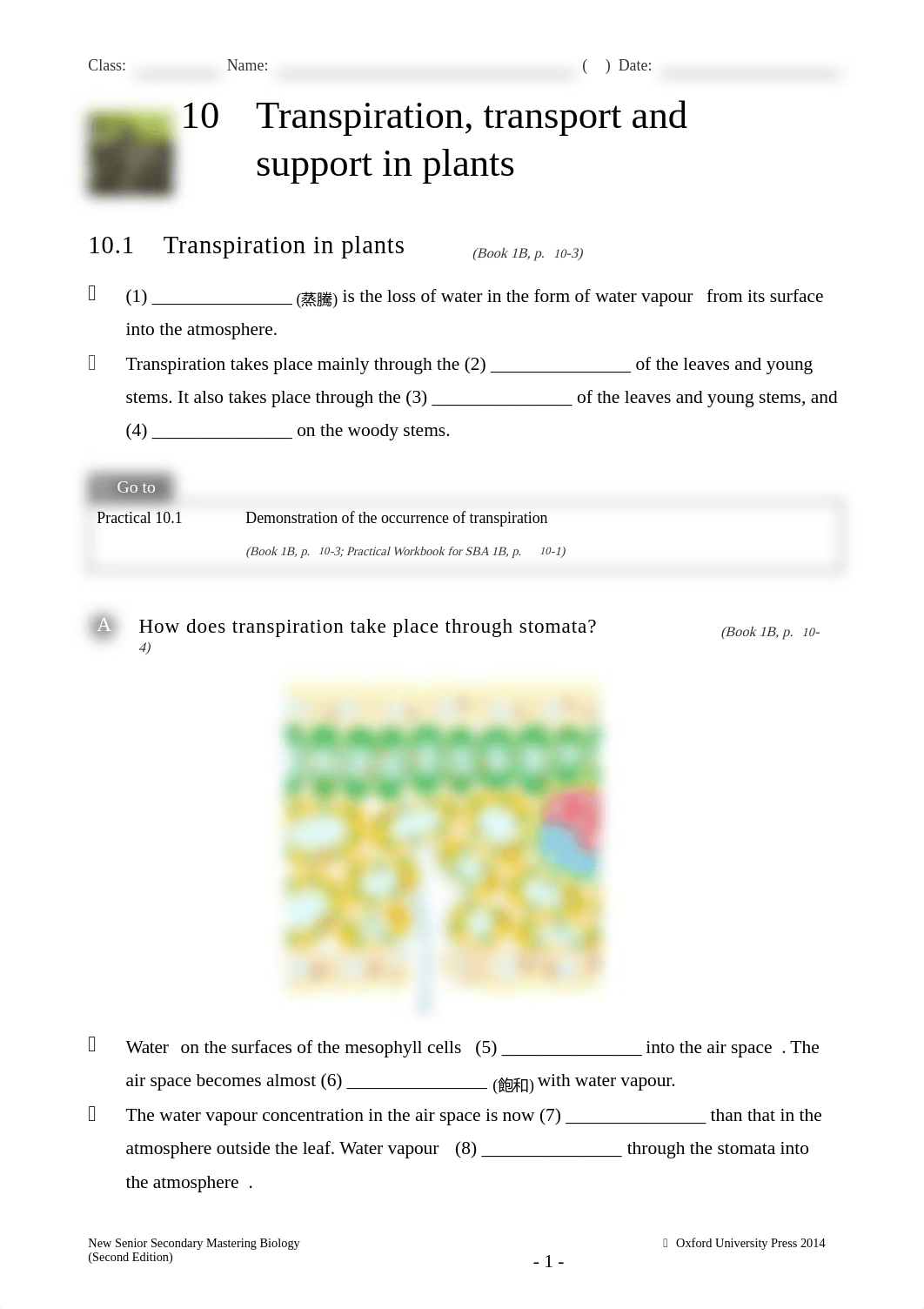 10 Transpiration, transport and support in plants WS.pdf_dk5ckpgxmrp_page1