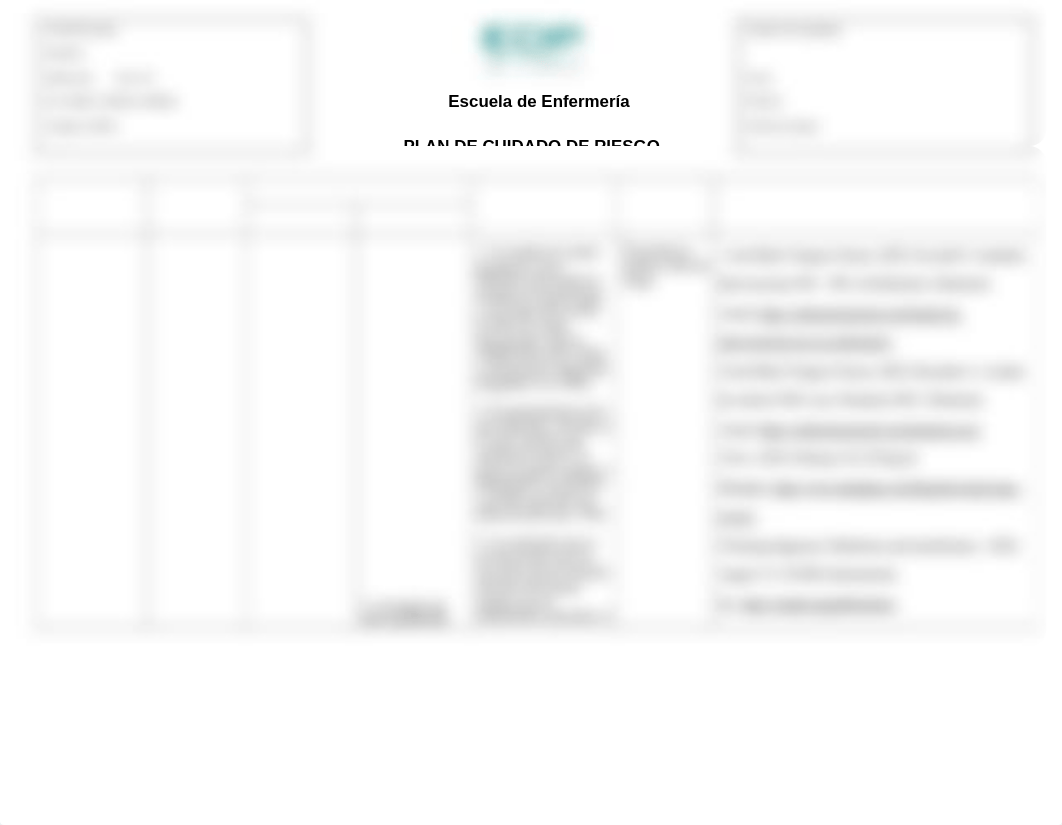 Plan de cuidado de Riesgo.doc_dk5jblx2c2k_page1