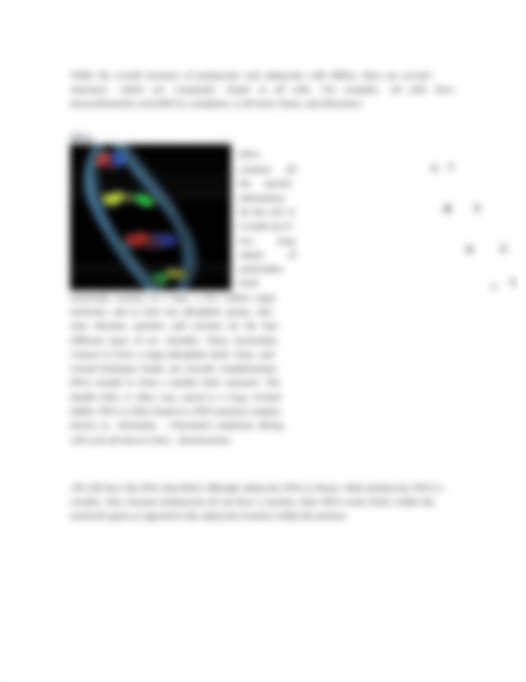 Lab 10 - Cell Structure and Function_dk5s7y5fzu4_page3