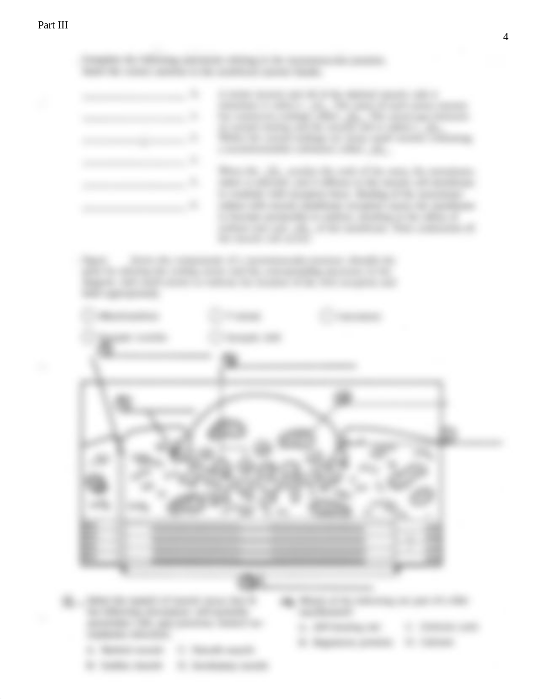 Clinical Applications and Diagrams, Muscle (1)_dk68fg3s6k9_page4