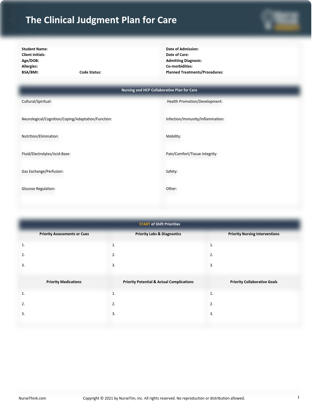 NurseThink® Clinical Judgment Plan for Care Template.pdf_dk6f09zogb1_page1