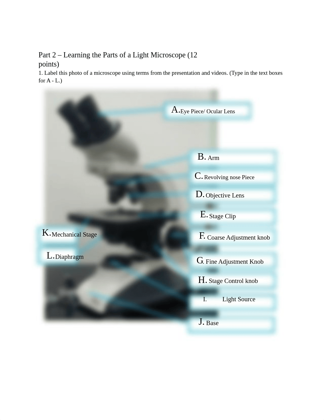 Lab 3 (1) (1).docx_dk6gyihsska_page2