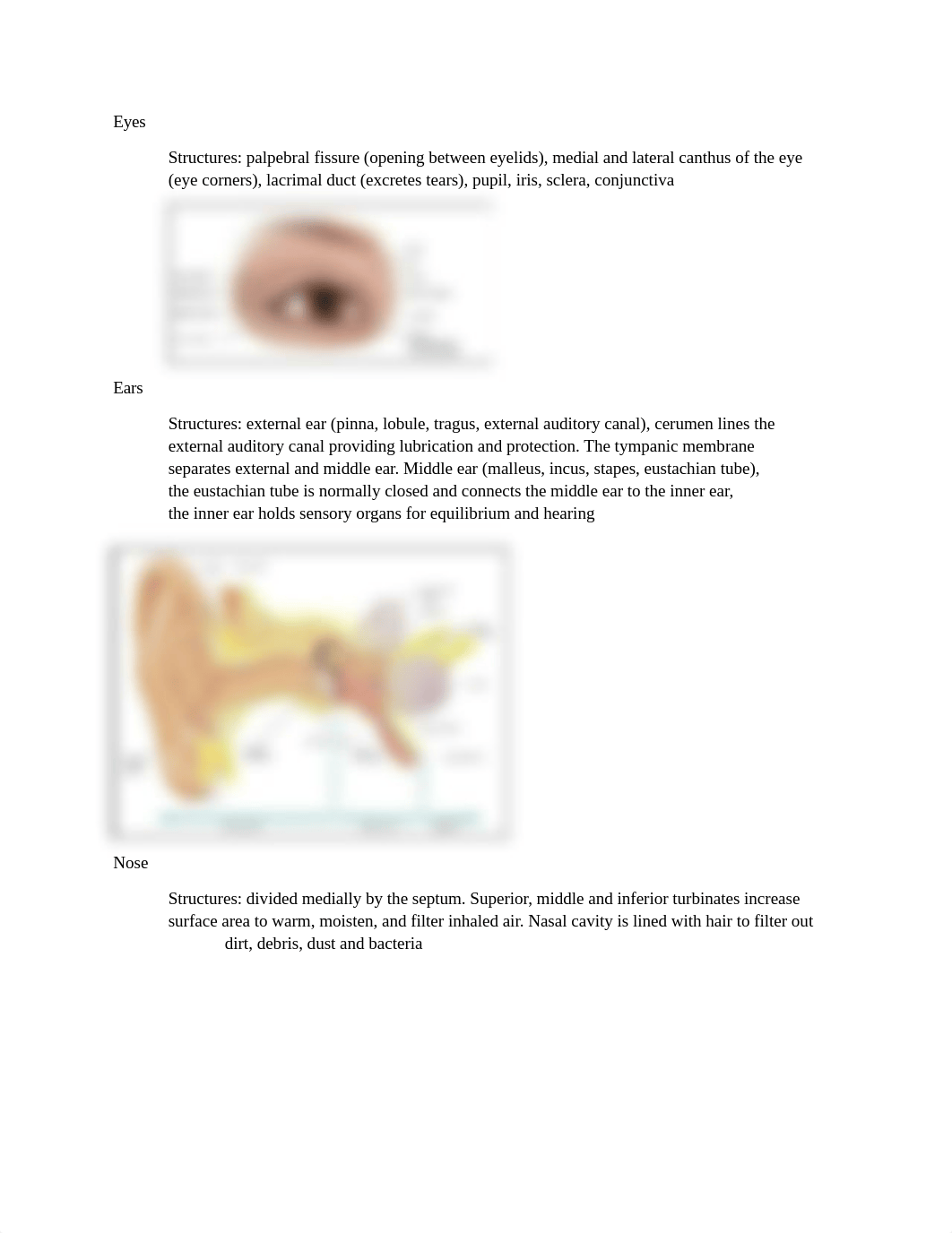 Exam 4 Learning Objectives.docx_dk6p5439x8g_page2