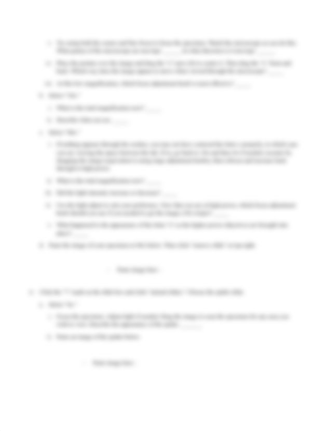 Virtual Microscope worksheet(3) (1).docx_dk6piof9sbp_page3