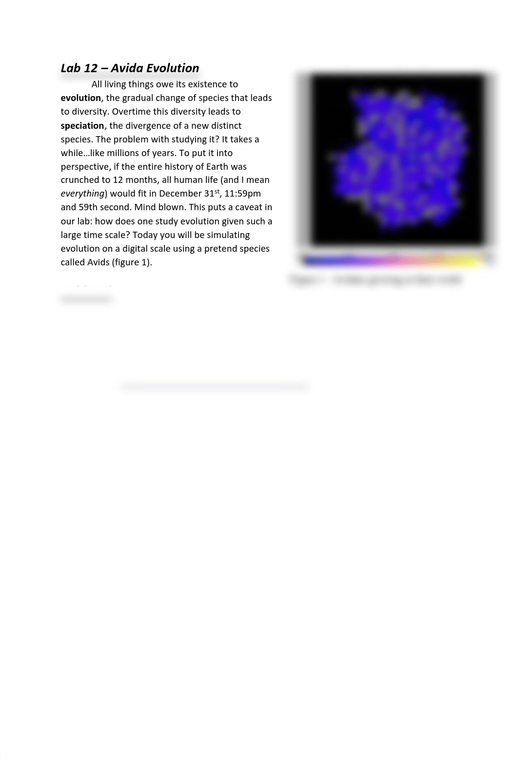 Lab 12 - Avida Evolution.pdf_dk6vd0jyuhk_page1