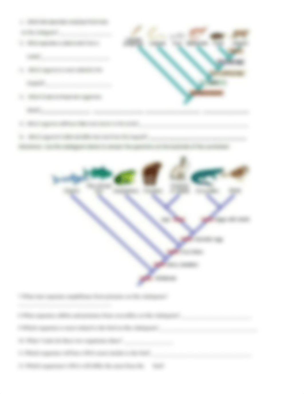 KYLIE KLAFKA - cladogram_worksheet.pdf_dk7asfmsplo_page2