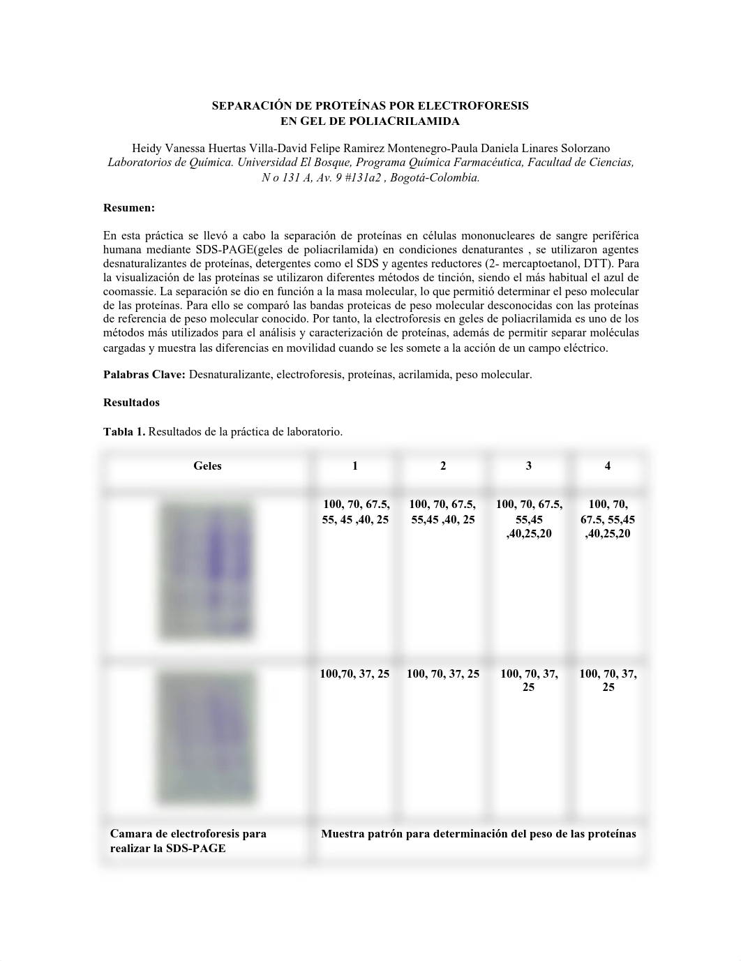 Informe de laboratorio Separacion de proteinas.docx.pdf_dk7cumf4fhl_page1