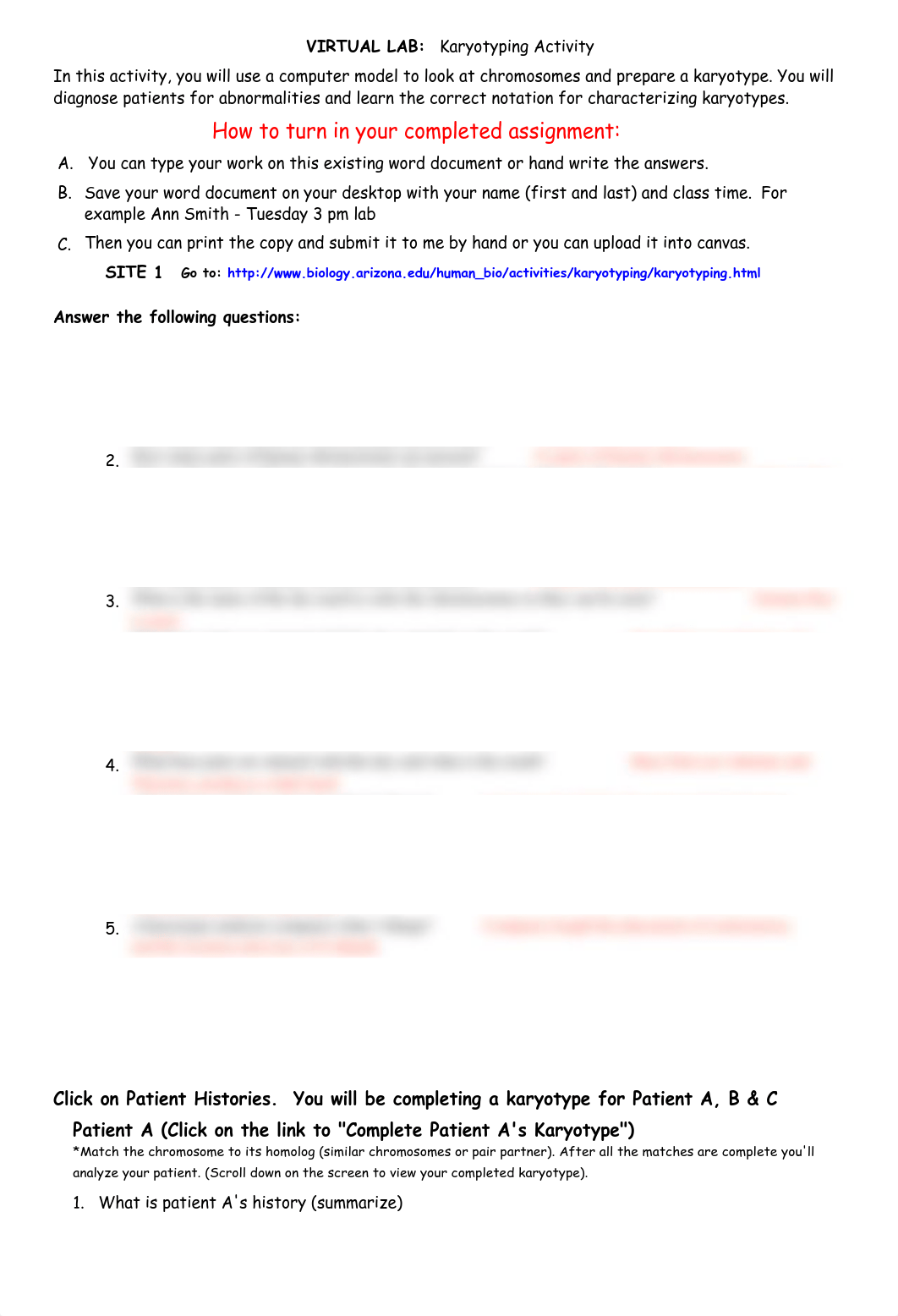 Virtual Karyotyping Activity_dk7fki144i2_page1