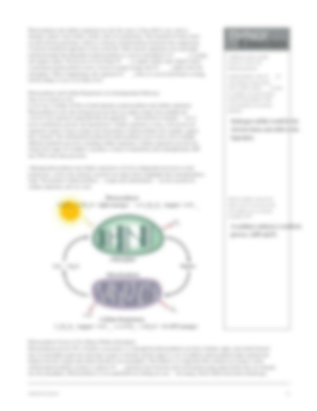 Kami_Export_-_Ryann_Smith_-_Photosynthesis_Student_Manual.pdf_dk7he9vrejf_page5