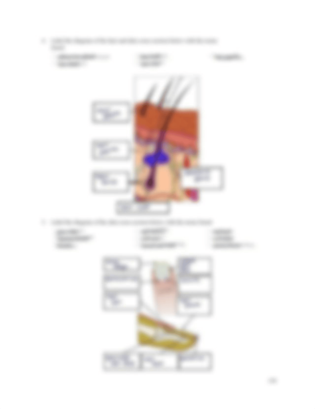 Integumentary system Lab Activities-Lab Manual.pdf_dk7onao3j0x_page3