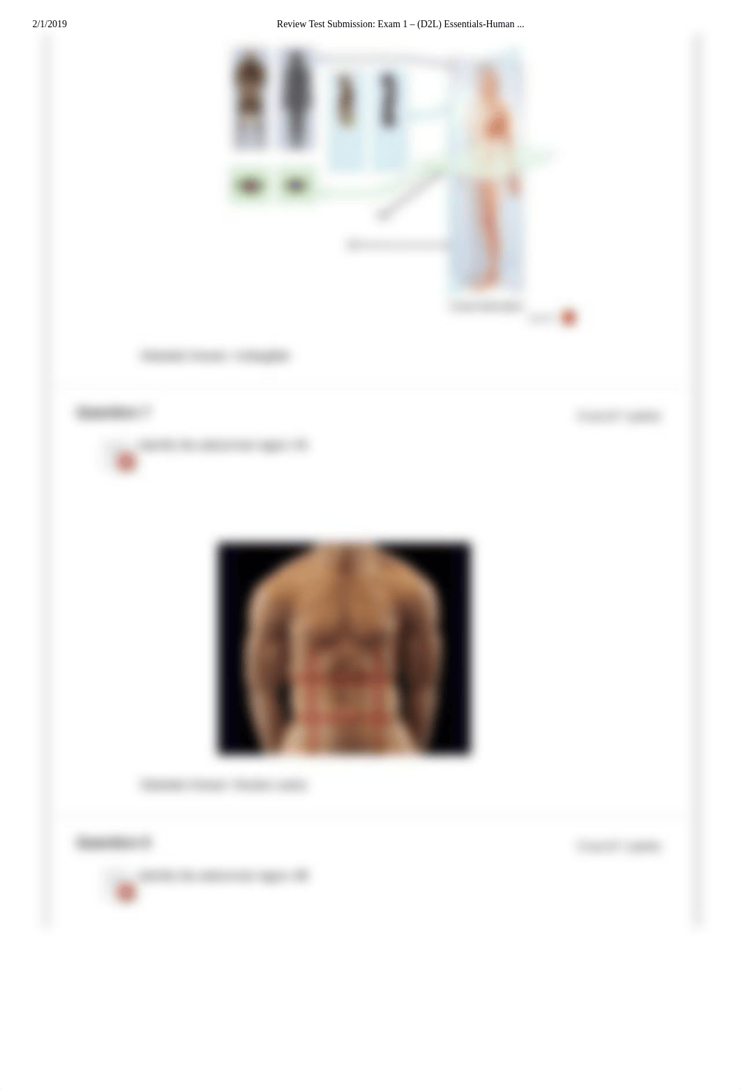 Review Test Submission_ Exam 1 - (D2L) Essentials-Human .._.pdf_dk7rfdsbsgm_page3