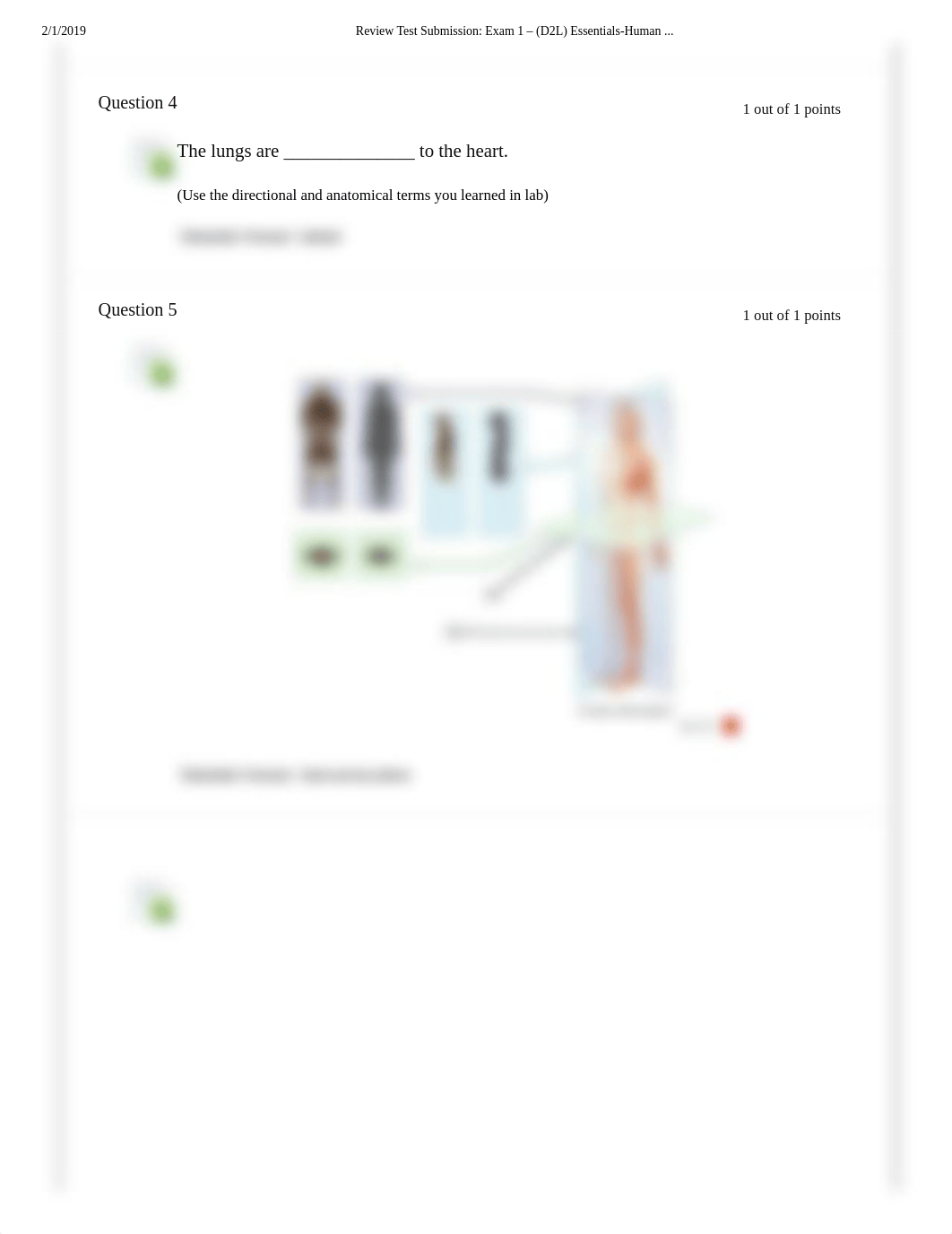 Review Test Submission_ Exam 1 - (D2L) Essentials-Human .._.pdf_dk7rfdsbsgm_page2