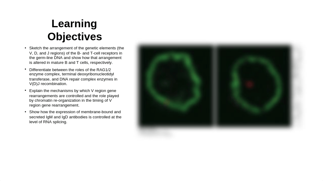 Chapter 6 Kuby lecture slides.pptx_dk7u7mogfdp_page2